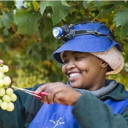Niche Fruit team upholding company values
